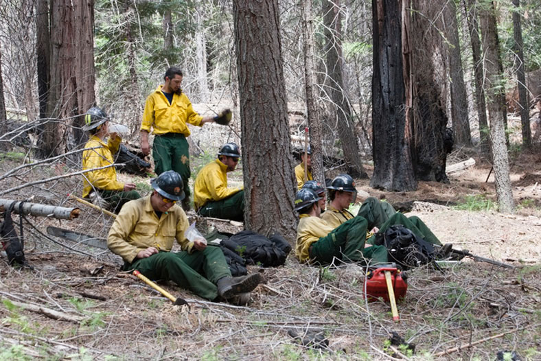 firefighters in the woods having lunch
