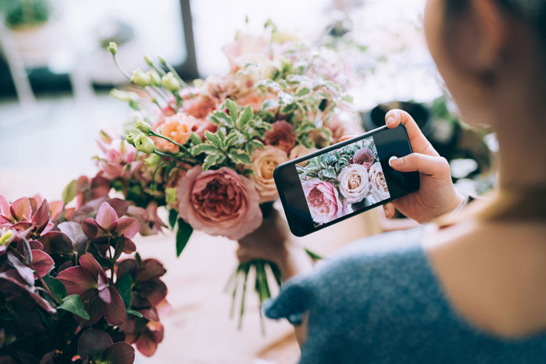 taking pictures of flowers