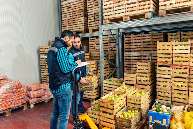 warehouse of fruits and vegetables on pallets